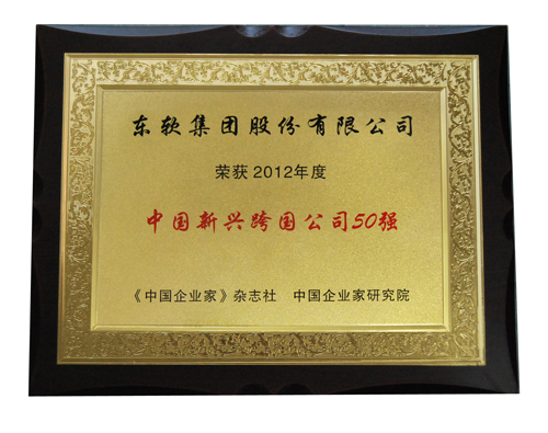 1win外网入选2012年度中国新兴跨国公司50强